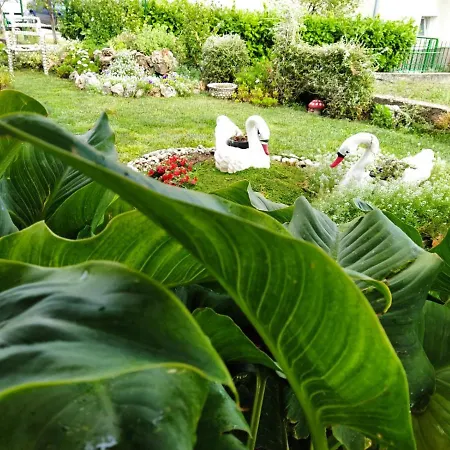 Pina 1 Apartment